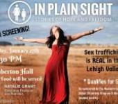 In Plain Sight - Stories of Hope and Freedom